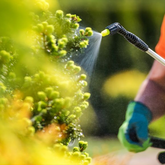 spi-ve-chung-toi-(1)